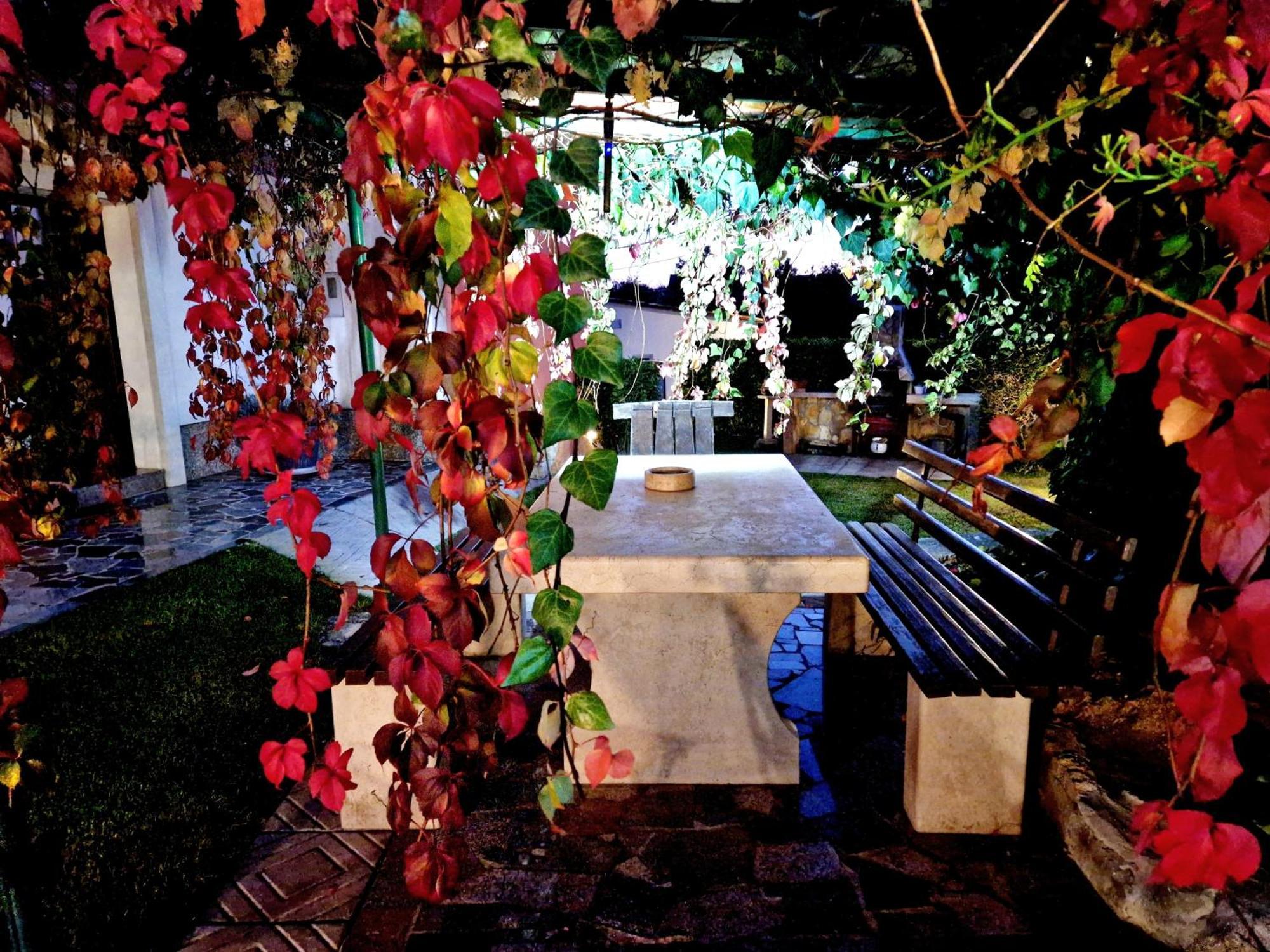 Roč Casa Luanaヴィラ エクステリア 写真